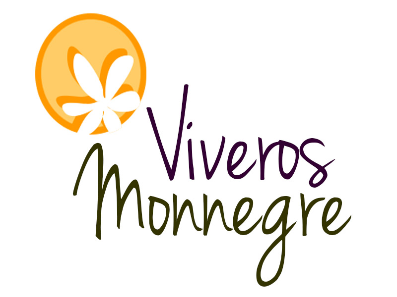 AuroraLillo.com
